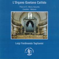 L'organo Gaetano Callido (1797 - 1799) (Pieve S. Maria Assunta, Candide, Belluno, Italy)