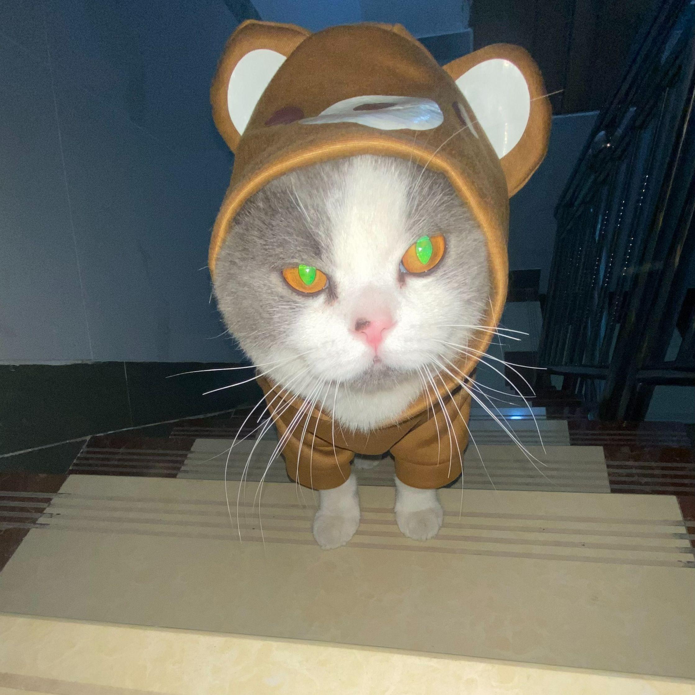 【FREE】无所谓想不出来名字所以男明星又发beat了