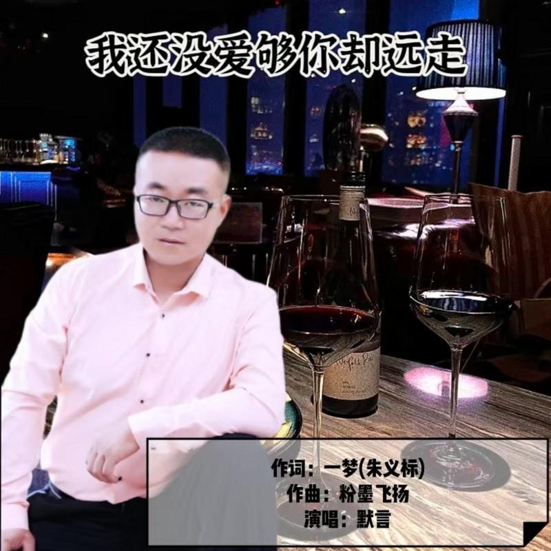 我还没爱够你却远走-默言 (男版)封面