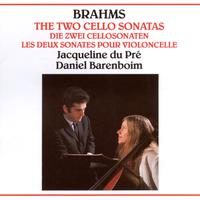 Brahms: The Two Cello Sonatas