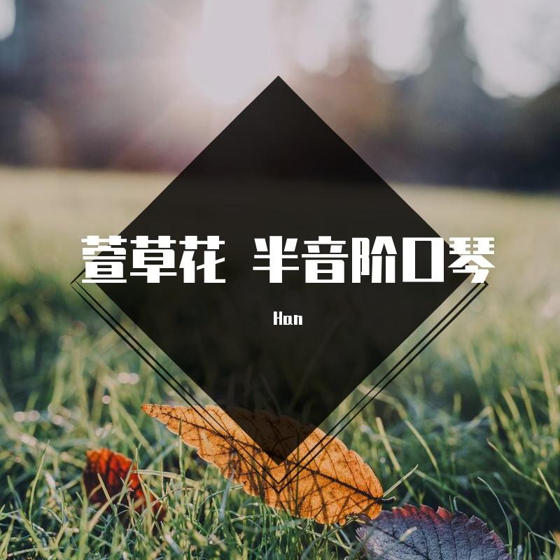 萱草花 半音阶口琴封面