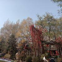 小娜娜资料,小娜娜最新歌曲,小娜娜MV视频,小娜娜音乐专辑,小娜娜好听的歌