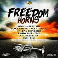 Freedom Horns