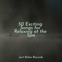 50 Exciting Songs for Relaxing at the Spa