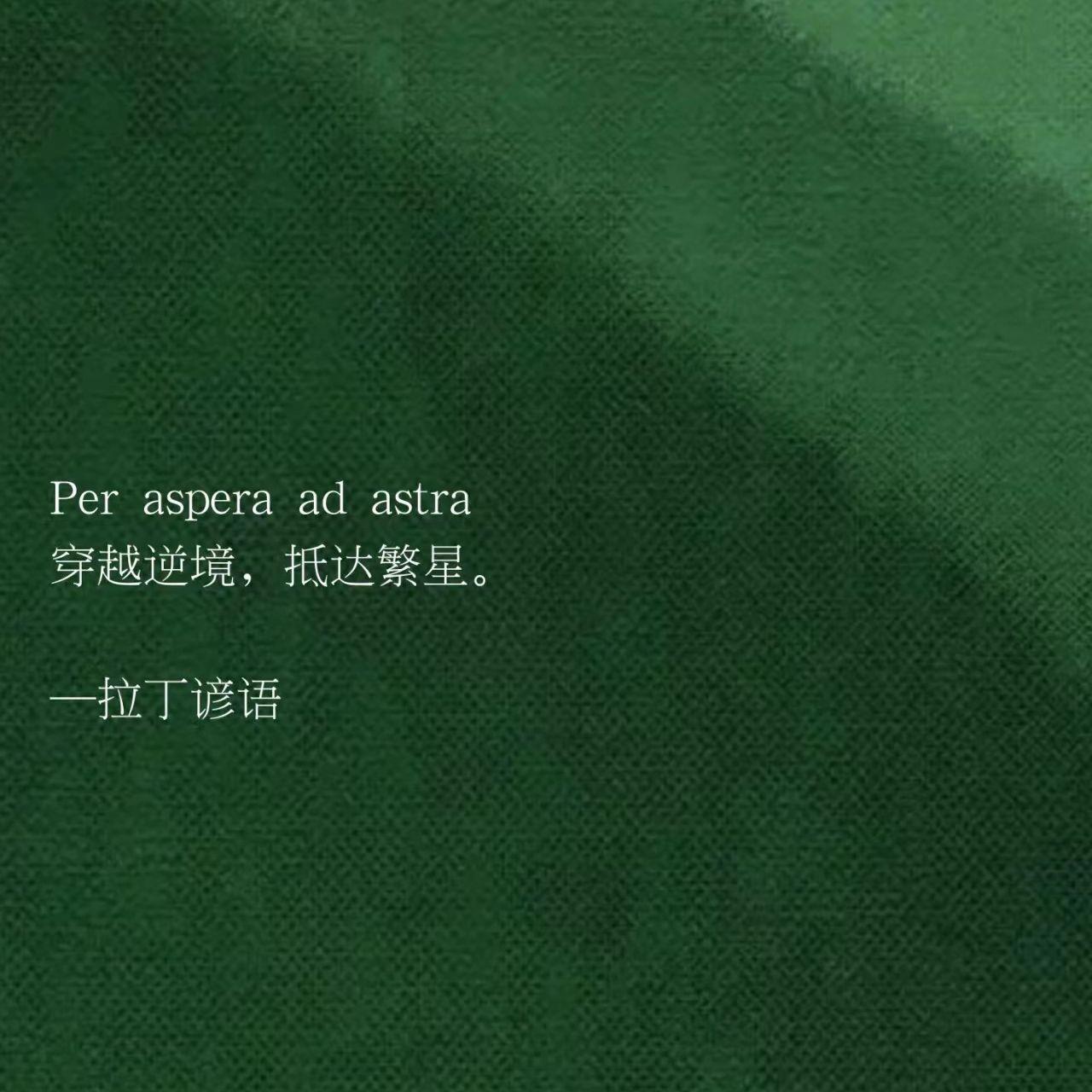你是一面旗（live） - 吴丹封面