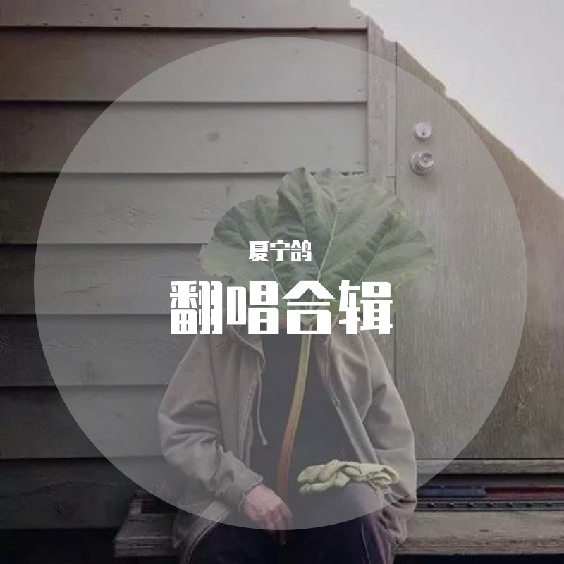 空山新雨后_夏宁鸽_翻唱合辑 | 在线播放_空山新雨后歌词_空山新雨后下载 | 网易云音乐