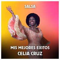 Salsa - Mis Mejores Exitos