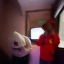 vislyn