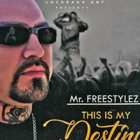 Mr. Freestylez