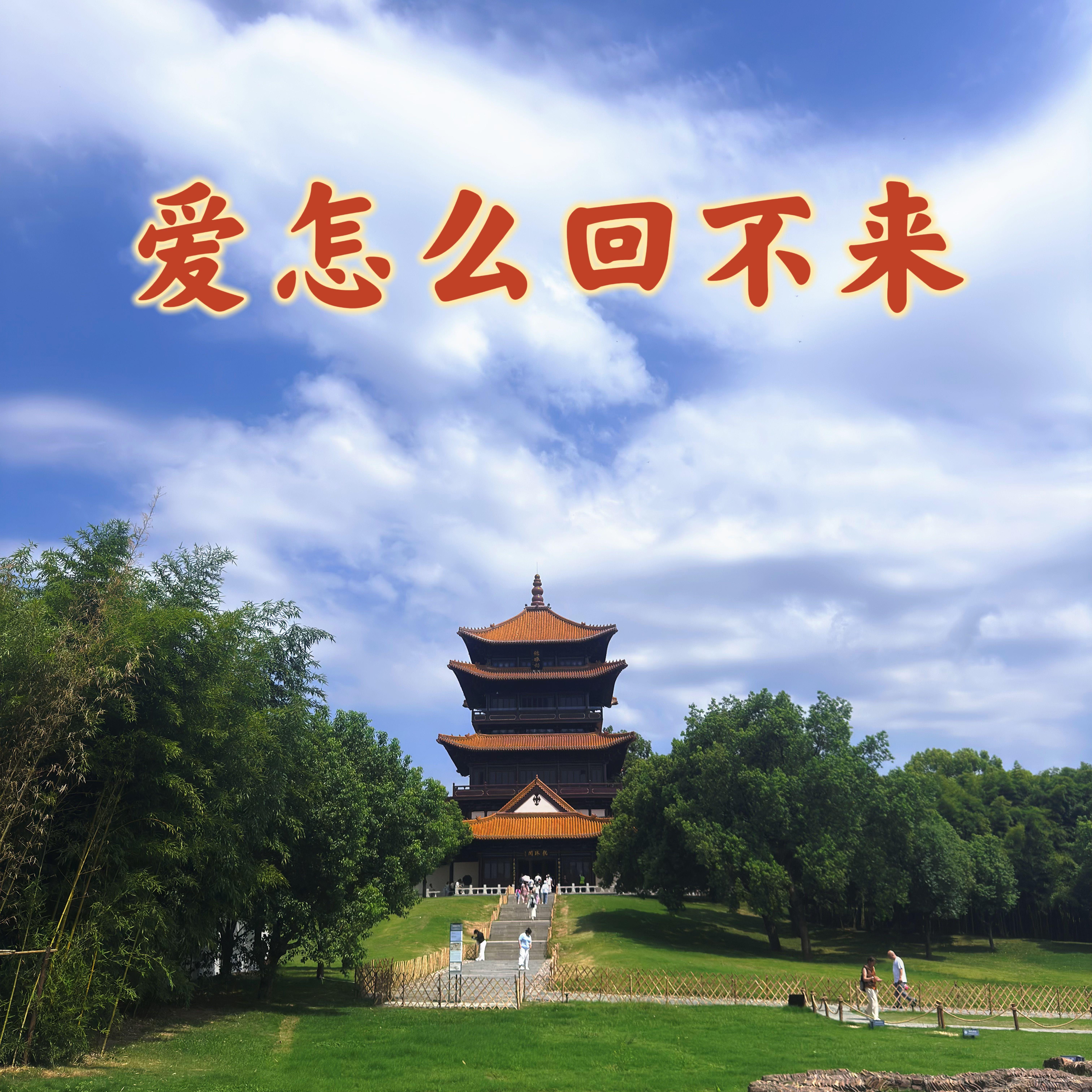 爱怎么回不来封面