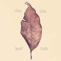 The Last Leaf Falls