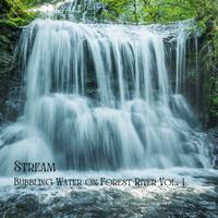 Stream: Bubbling Water on Forest River Vol. 1