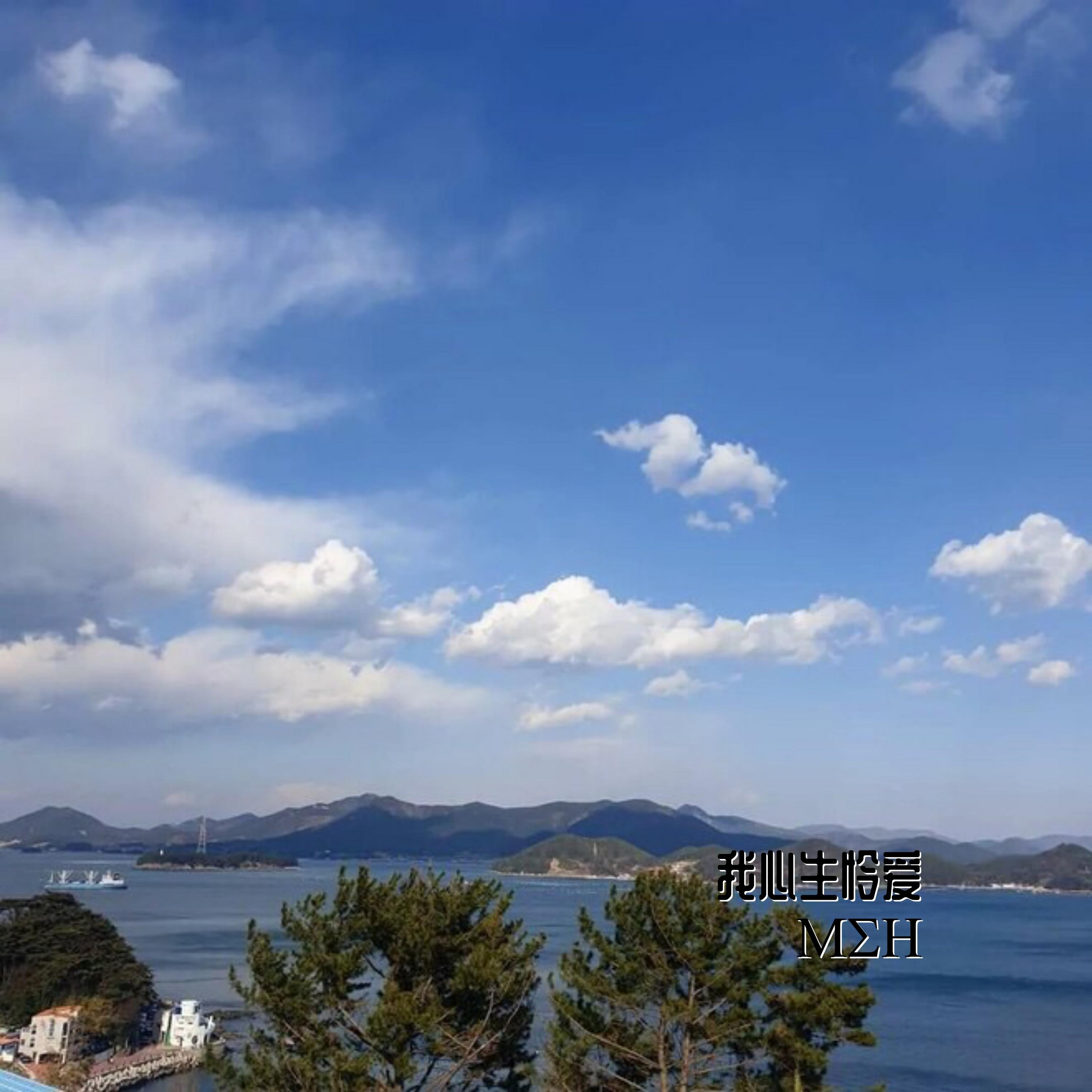 触动心弦封面