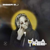 MULA TREE