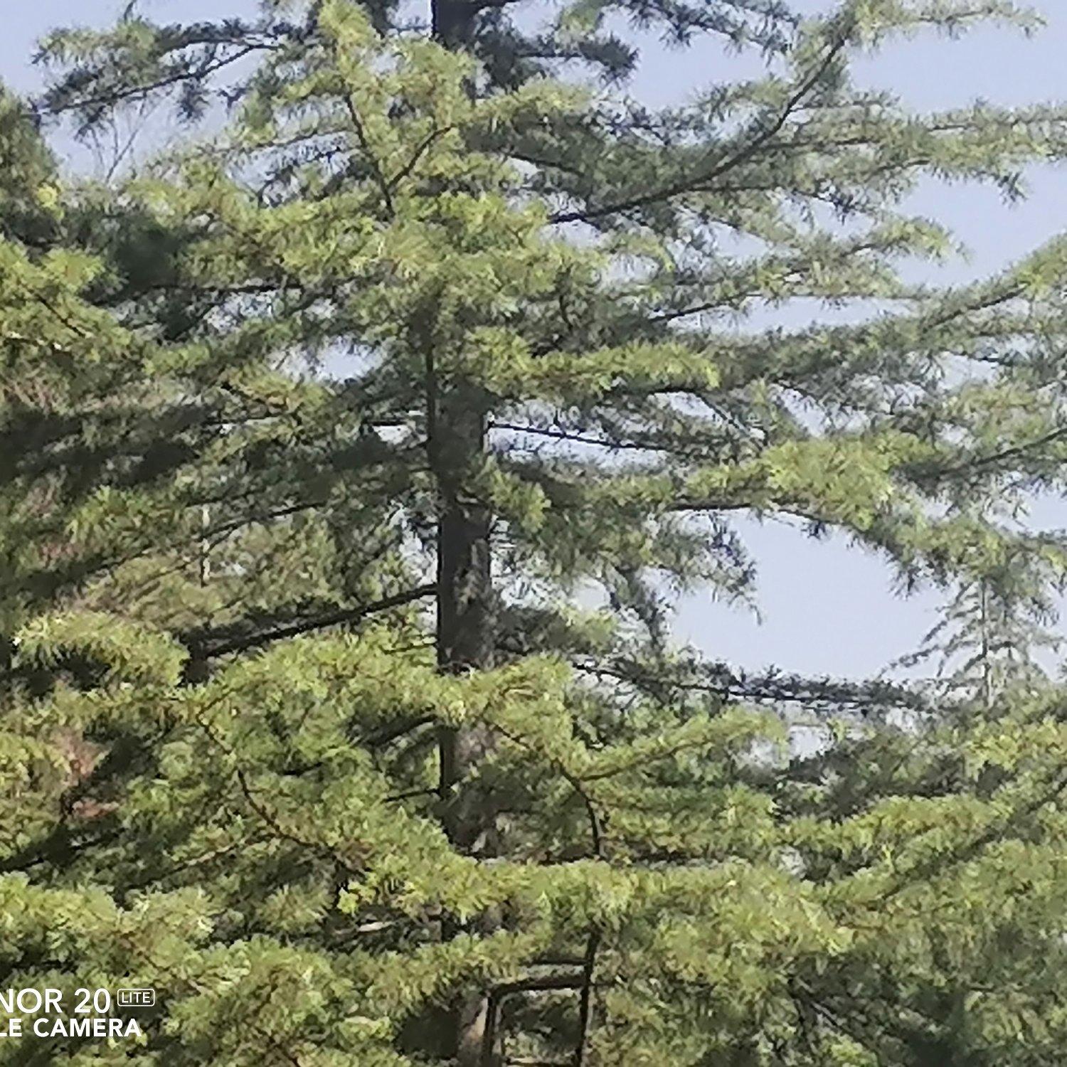 人 空间 建筑 . wav