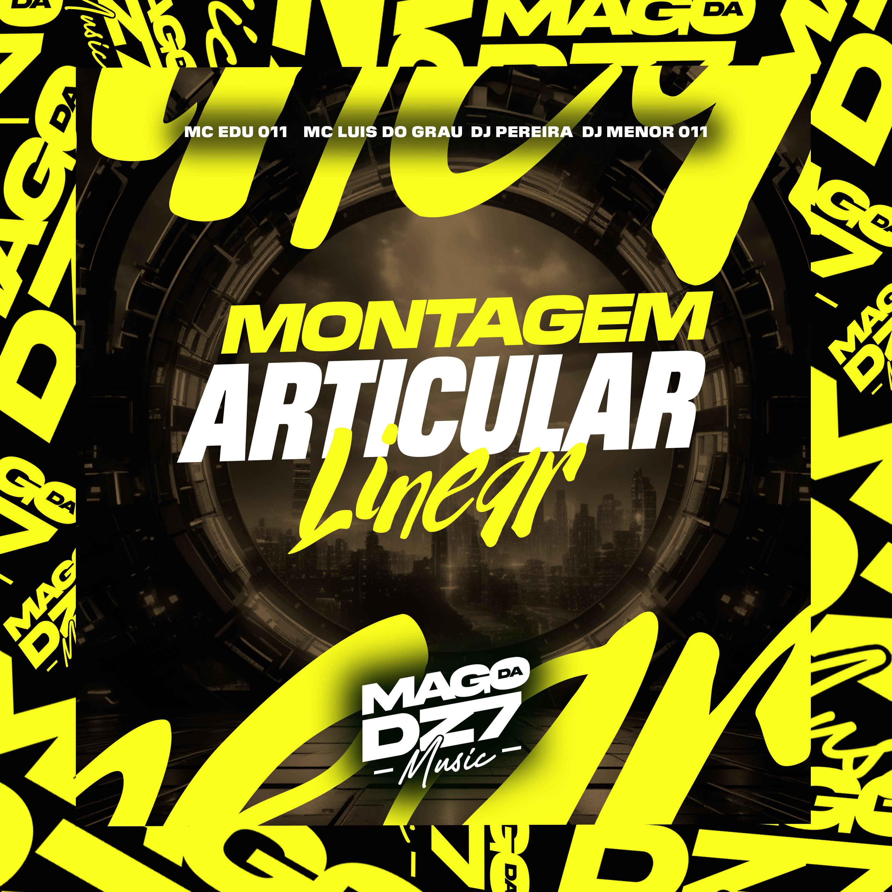 Montagem Articular Linear (feat. DJ MENOR 011)