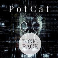 Toxic Race