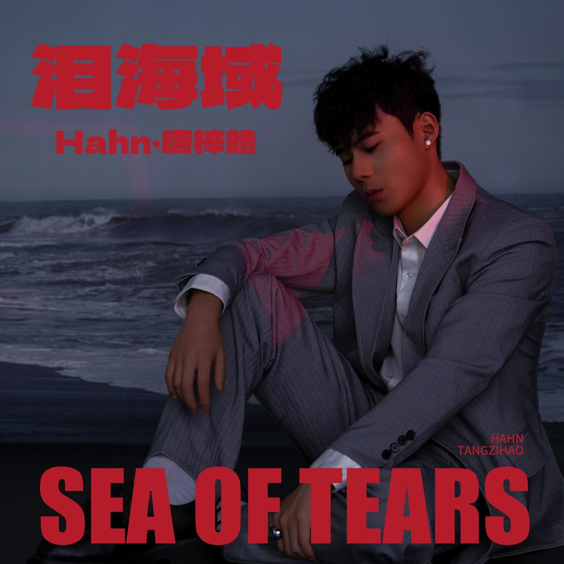 泪海域_唐梓皓_泪海域 | 在线播放_泪海域歌词_泪海域下载 | 网易云音乐