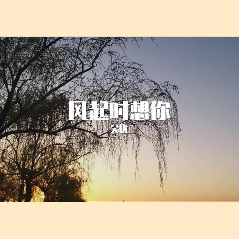 风起时想你 伴奏封面
