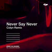 Never Say Never (Colyn Remix)