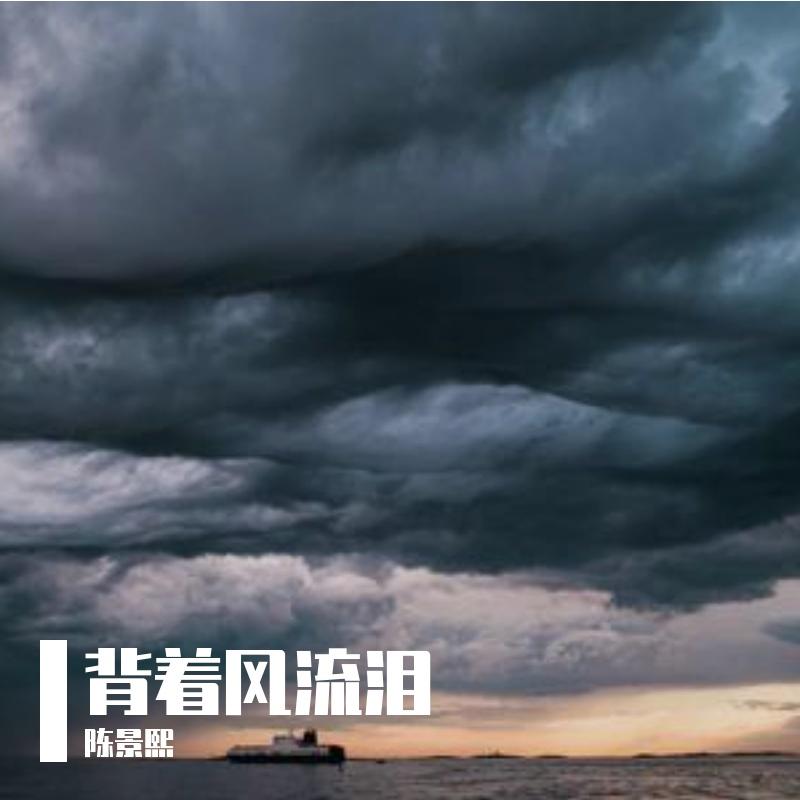 背着风流泪 伴奏封面
