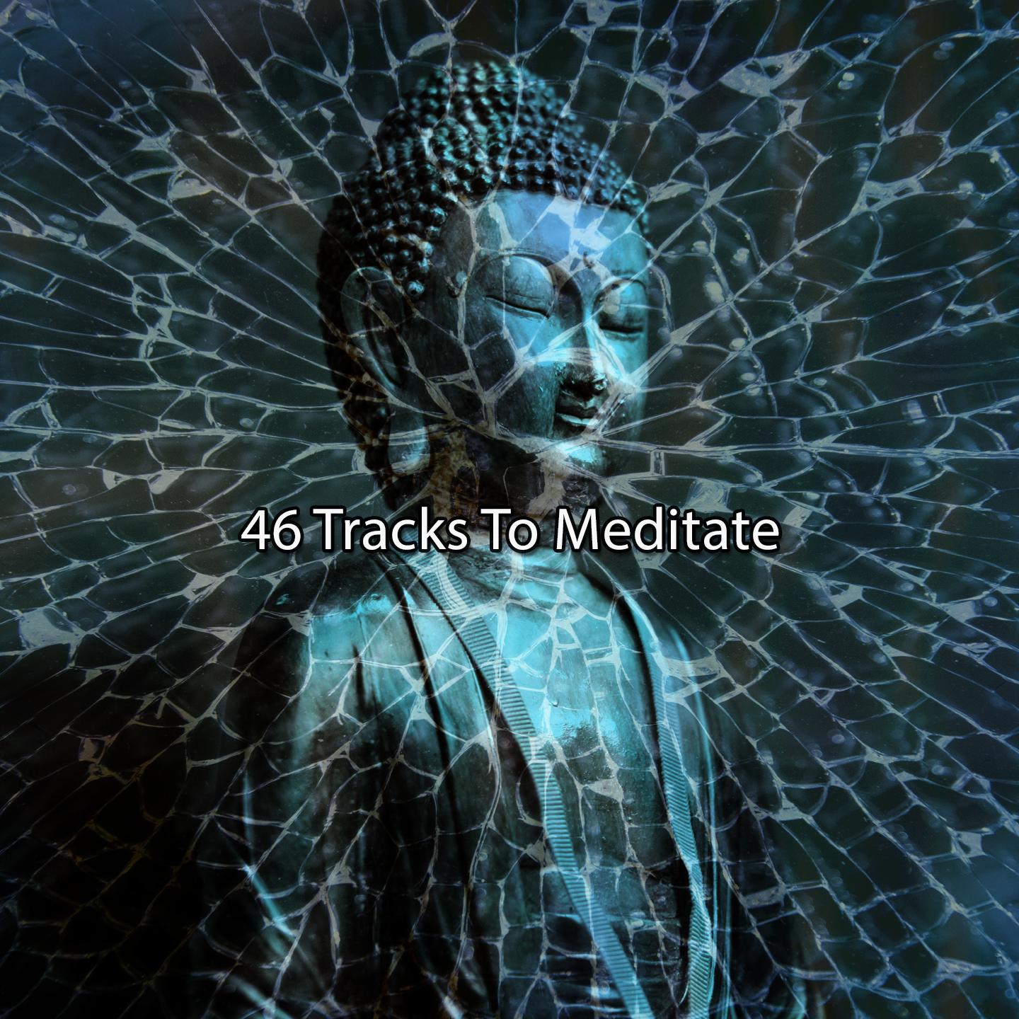 纯情的爱封面