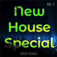 New House Special, Vol. 1 (20 Special House Tracks)