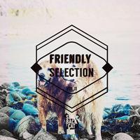 Friendly Selection, Vol. 11