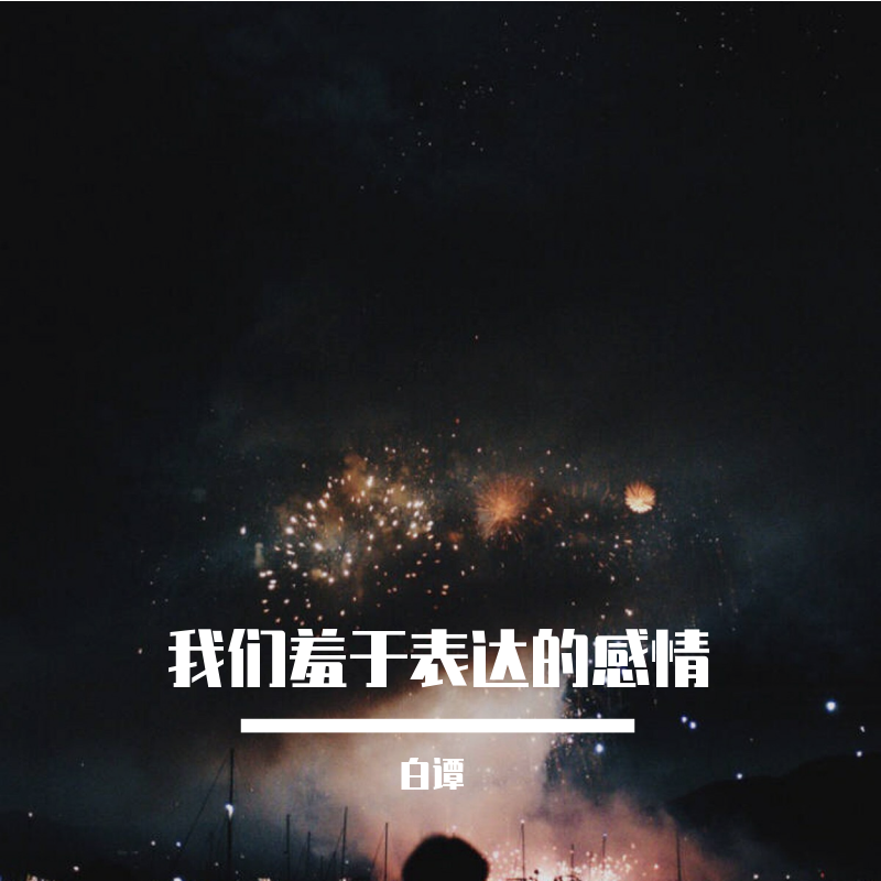 我们羞于表达的感情封面