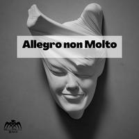 Allegro Non Molto