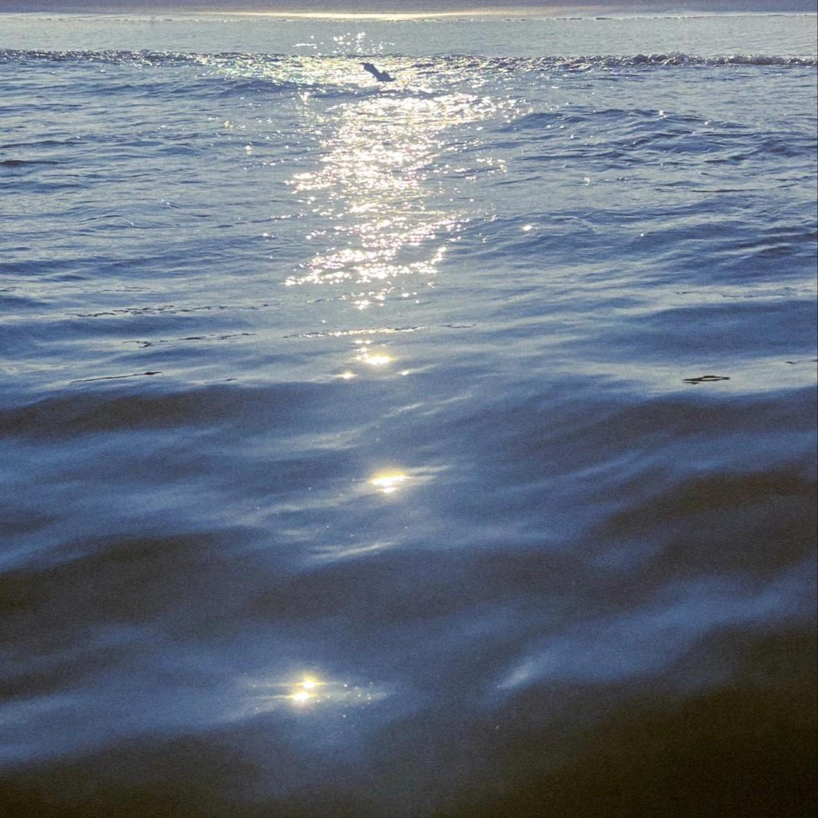 海海海封面
