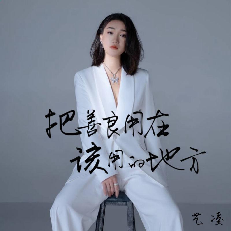 把善良用在该用的地方 (DJ豪大大版)封面