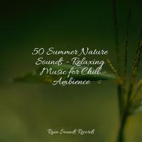 50 Summer Nature Sounds - Relaxing Music for Chill Ambience