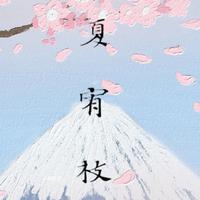 夏宥枝