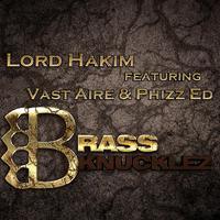 Brass Knucklez (feat. Phizz Ed & Vast Aire)