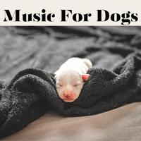 Music For Dogs
