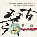 吴文光