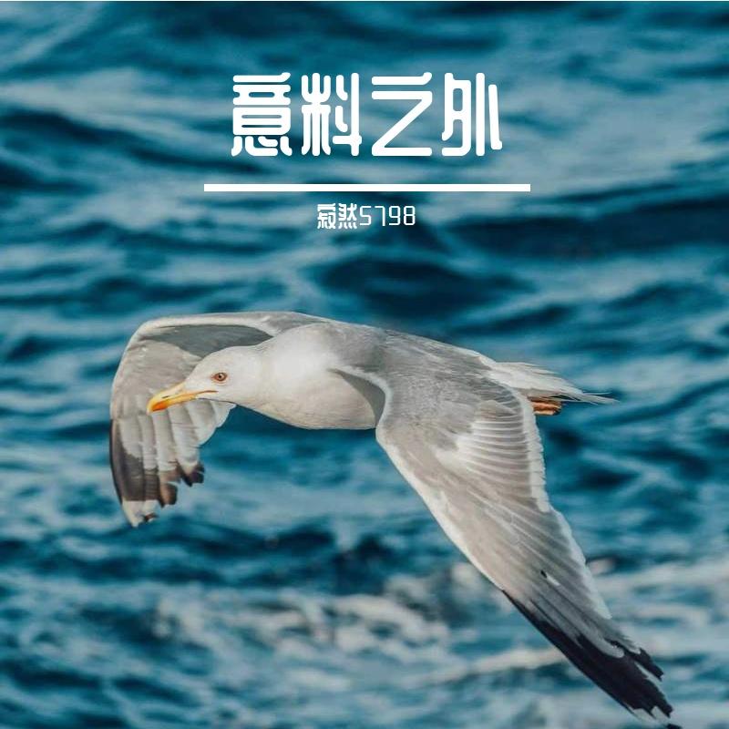 星愿 伴奏封面