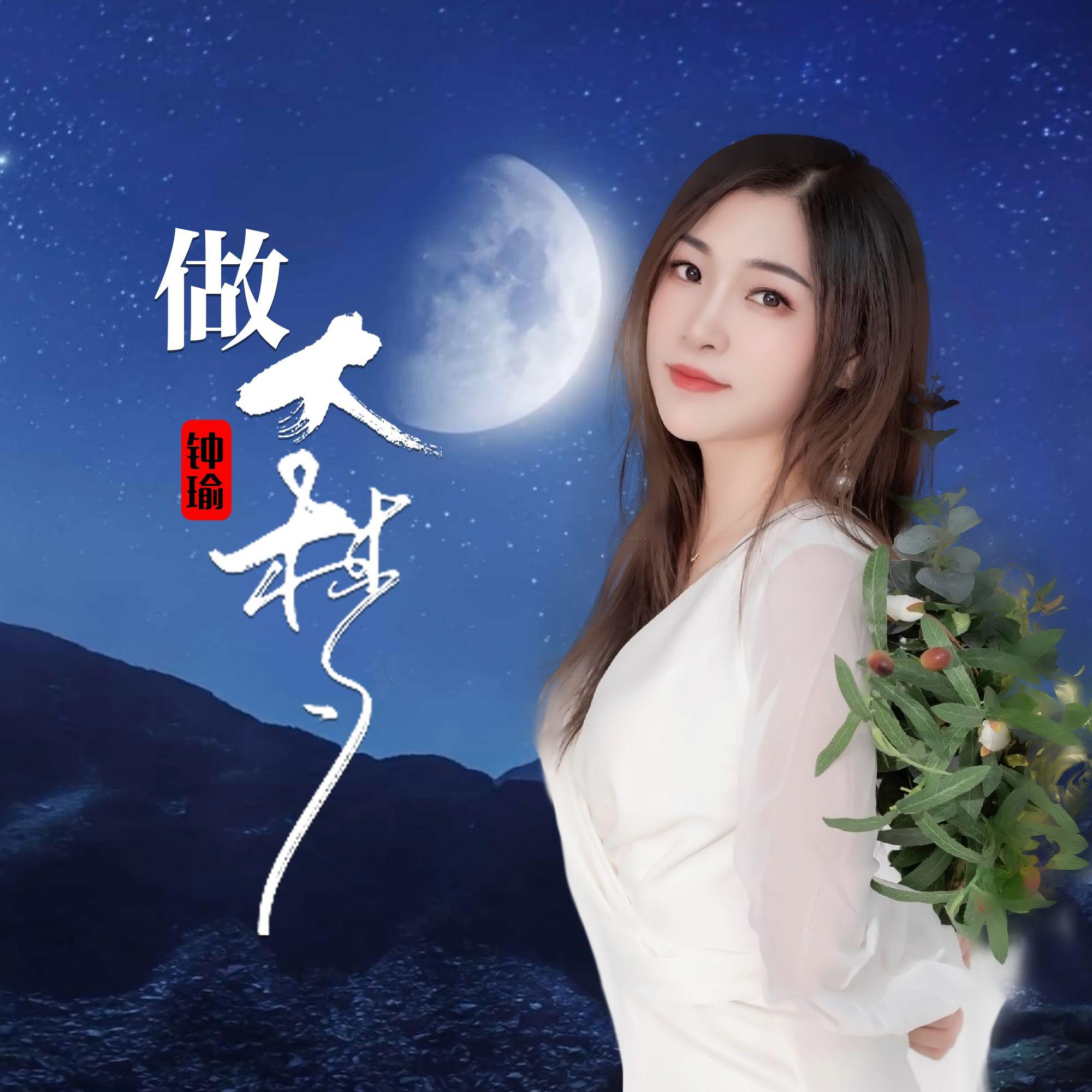 做大梦封面