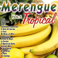 Merengue Tropical, Vol. 1