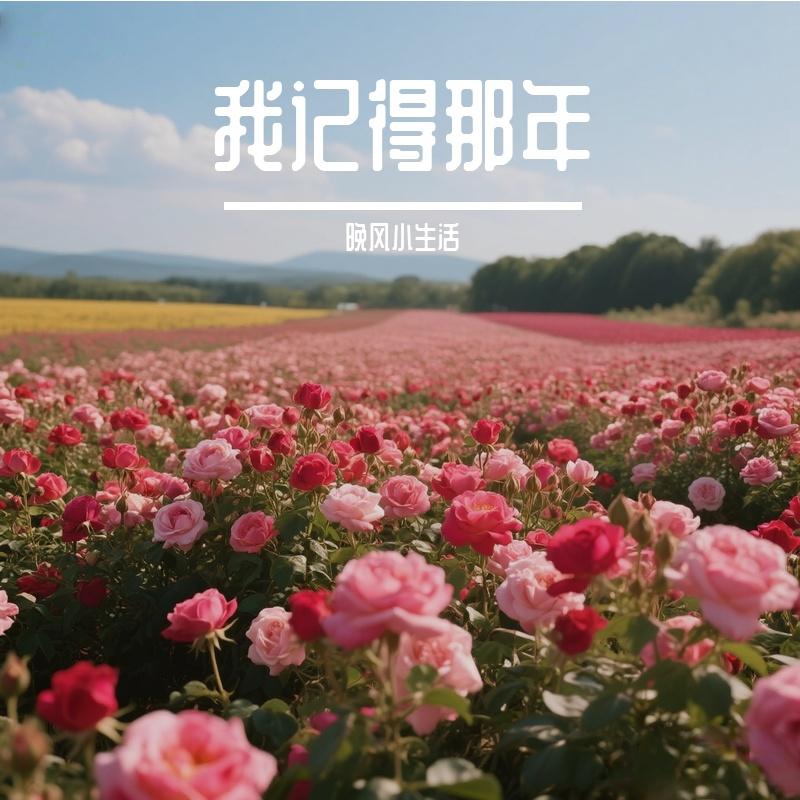 和你一起听夜雨封面