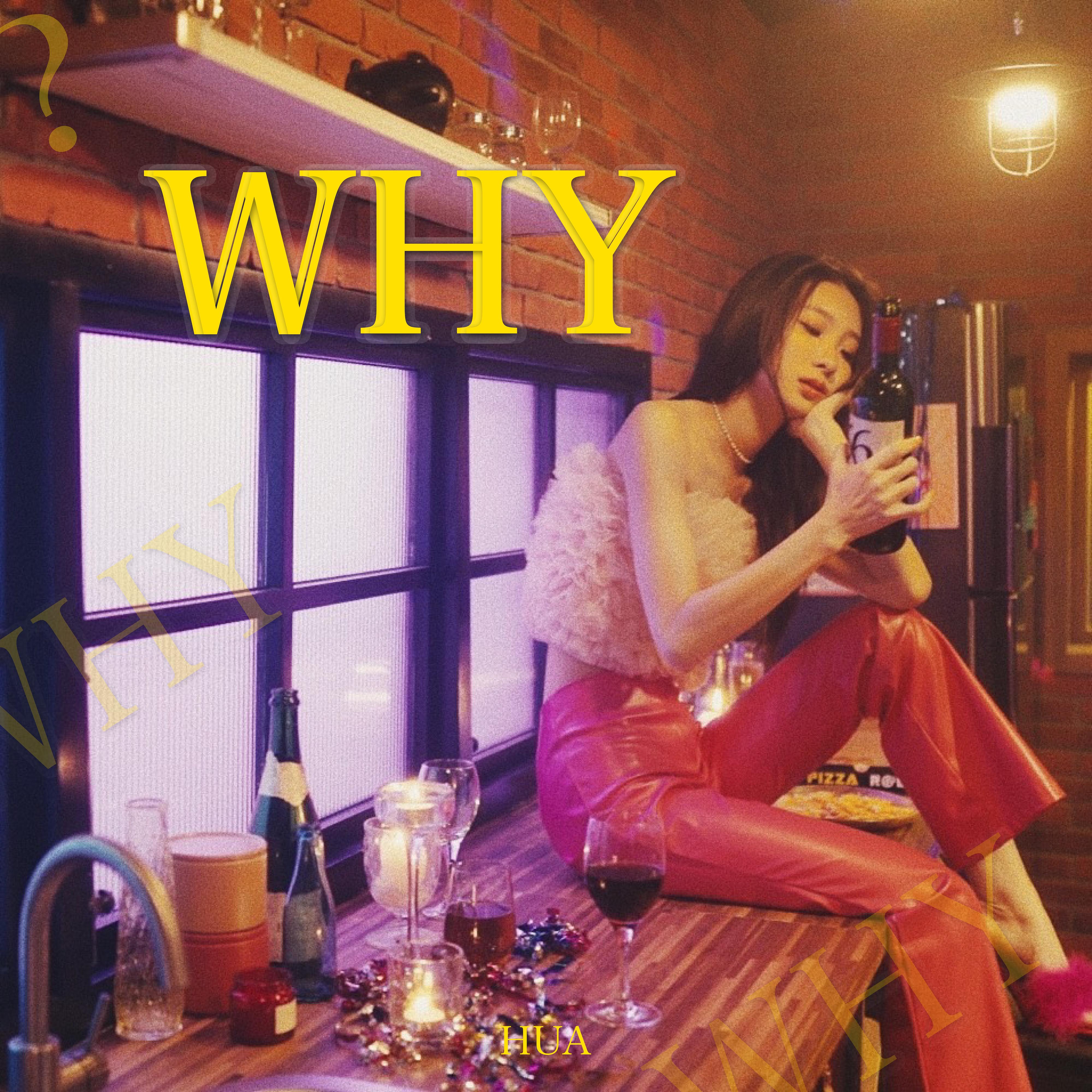 WHY 海报
