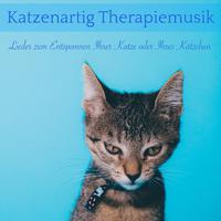 Katzenartig Therapiemusik: Lieder Zum Entspannen Ihrer Katze Oder Ihres Kätzchens