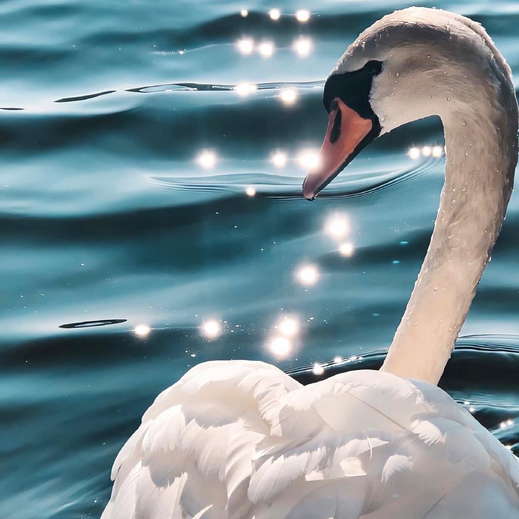 Dilik14-I wanna（刁小跳 / Dilik14 remix）