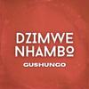 Gushungo - Ndofamba