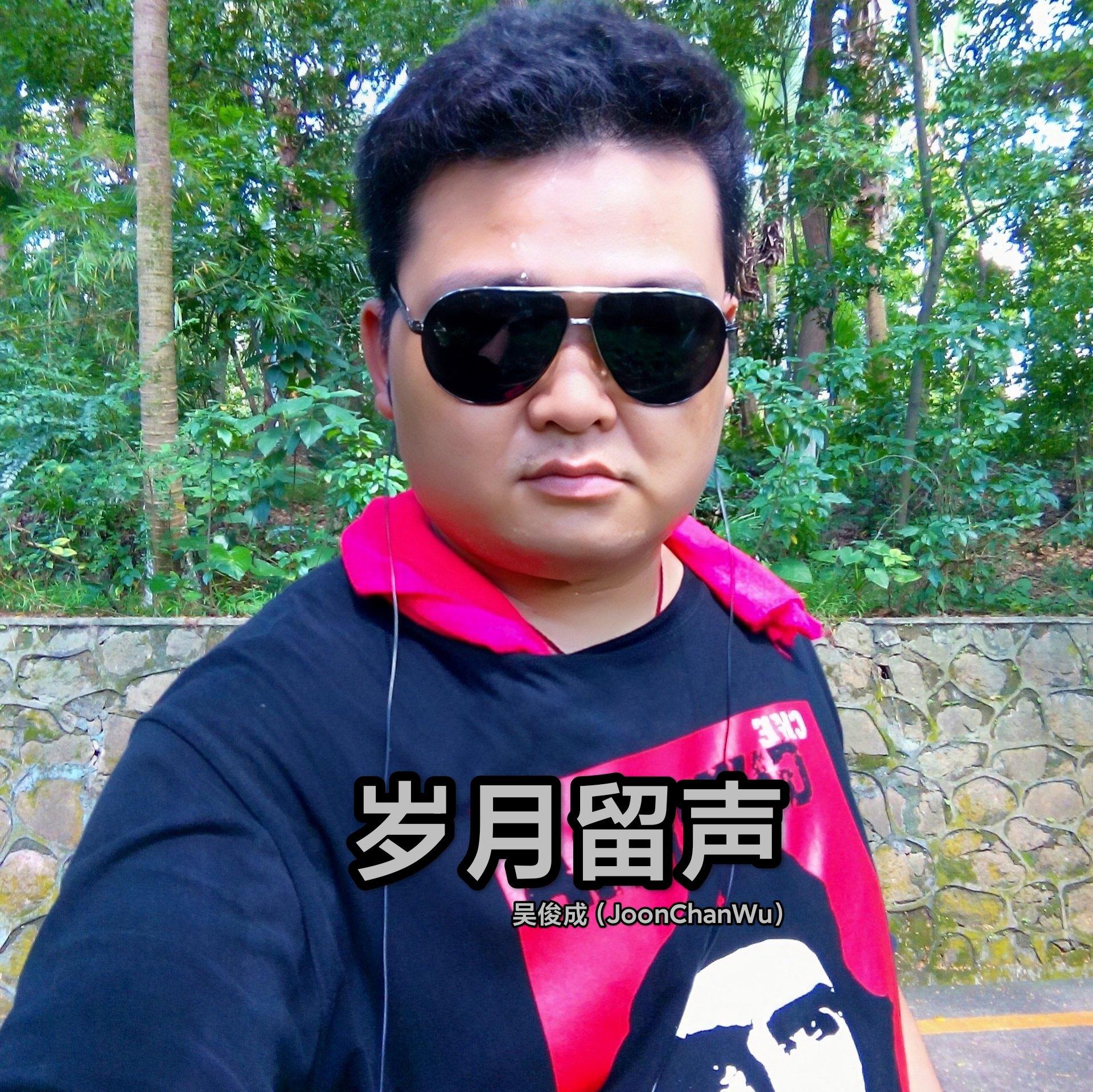 痴心的废墟封面