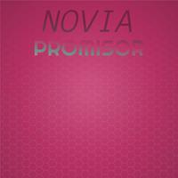 Novia Promisor