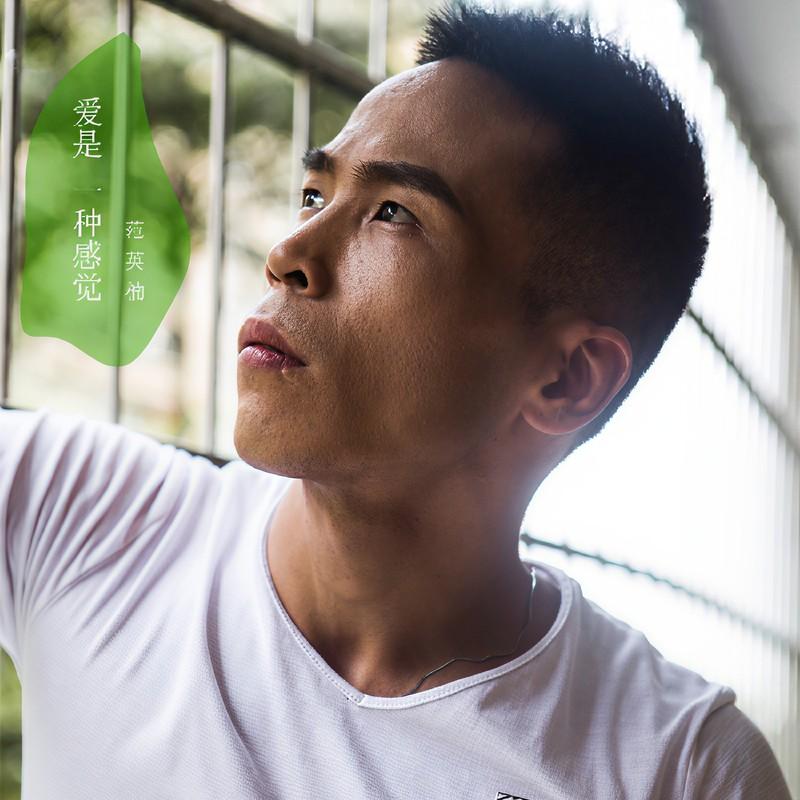 爱是一种感觉 - 范英楠封面