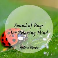 Nature Music: Sound of Bugs for Relaxing Mind Vol. 2