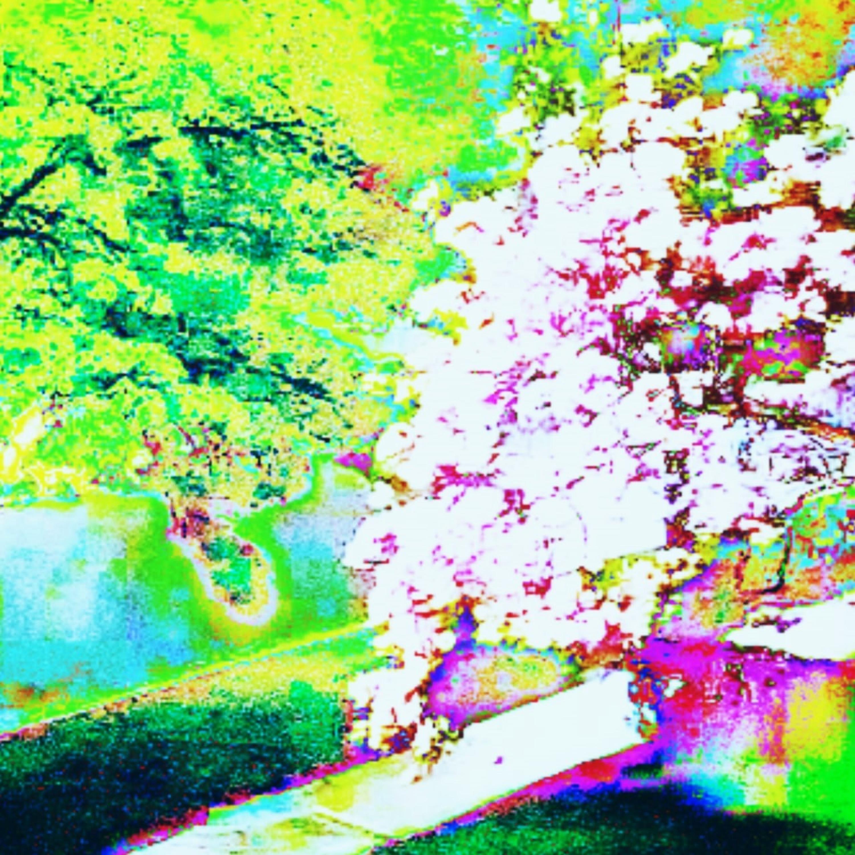 veneno (feat. NIHIL.PUNKKIDD)